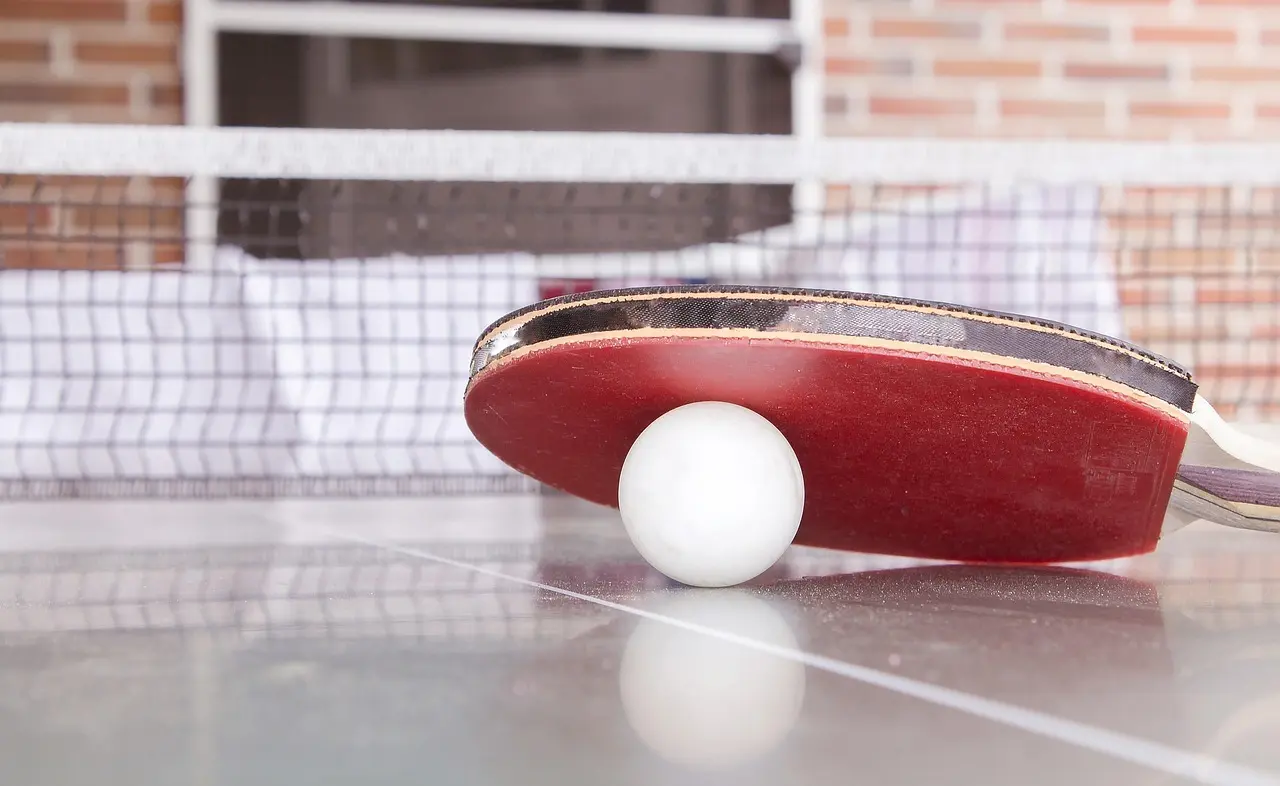 Bordtennisbat og bold foran et net
